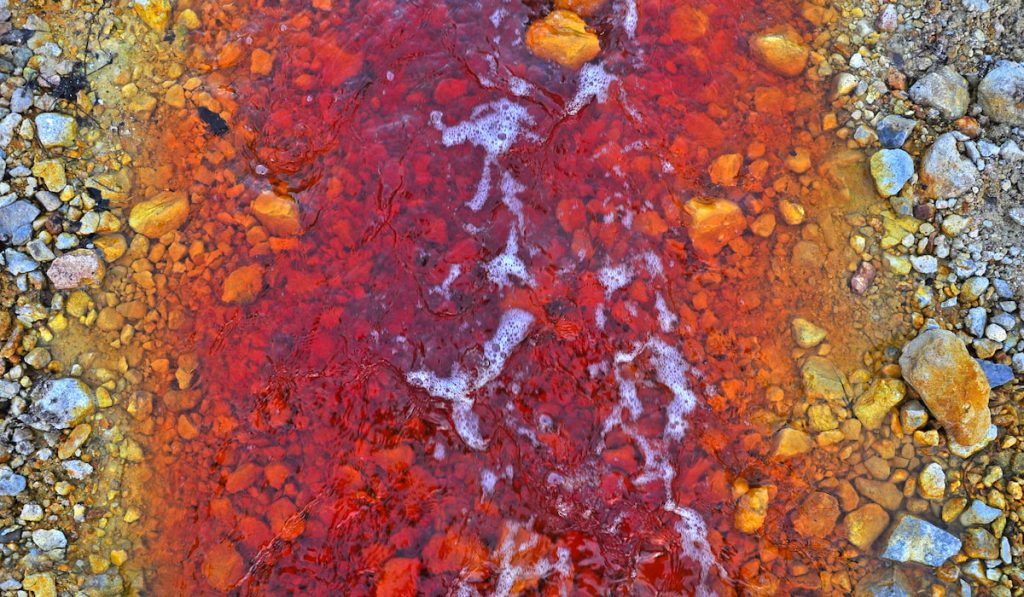 red polluted stream