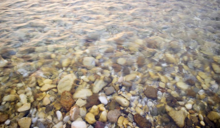 Are River Rocks Safe for Aquariums? (All You Need to Know!)