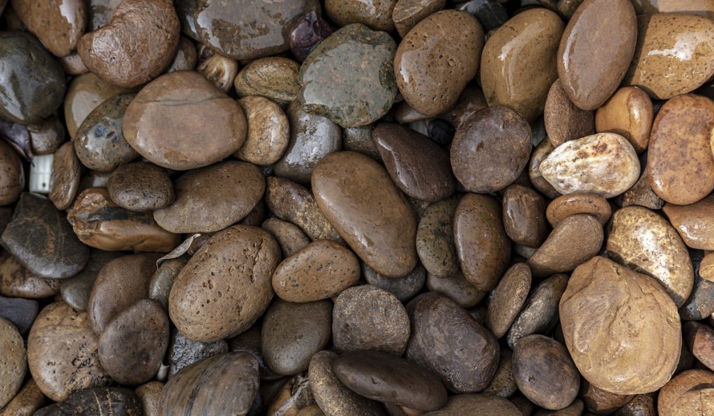 wet pebbles