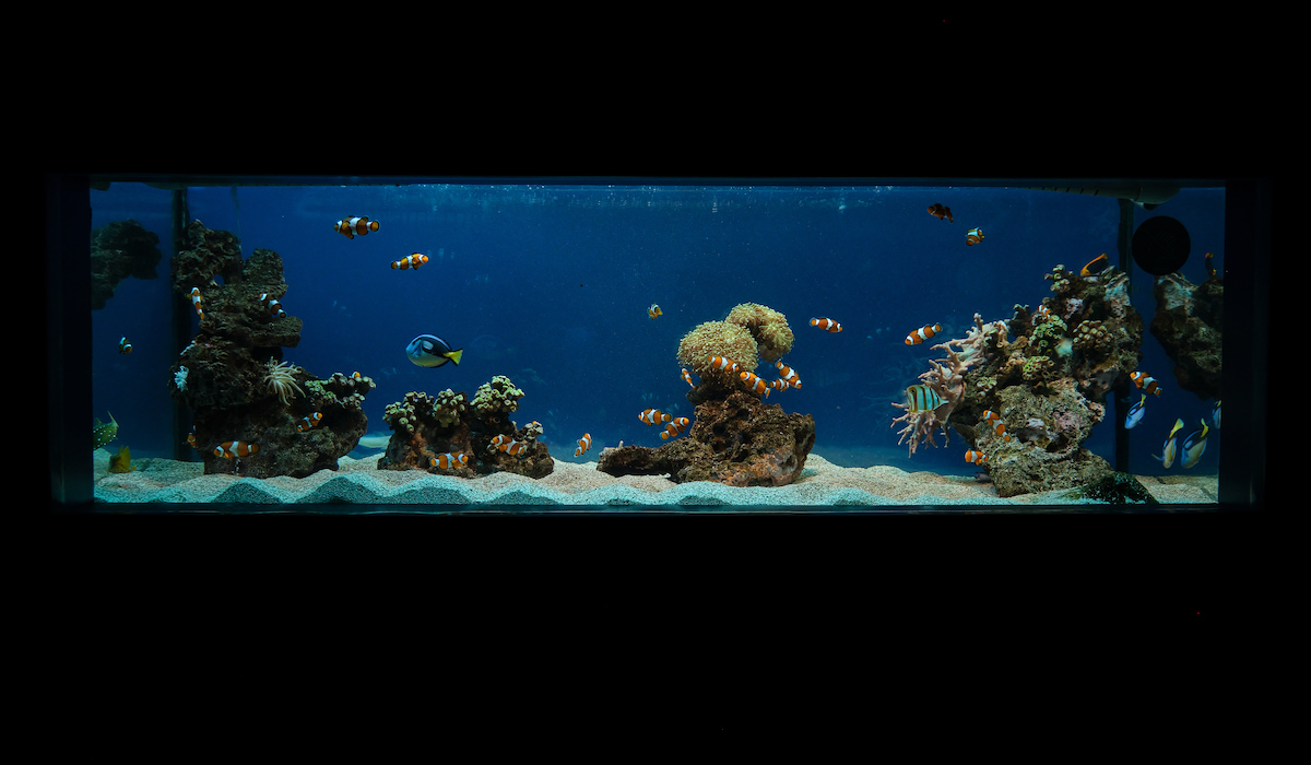 How to Soundproof a Rock Tumbler (7 Easy Ways!) Pretty Pebble